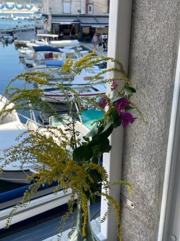 Studio Antonio Apartment Cres